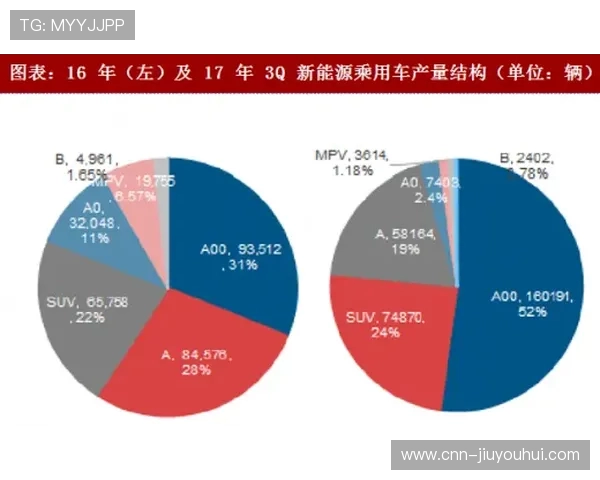 2025年寻甸足球发展新机遇探索与未来潜力分析
